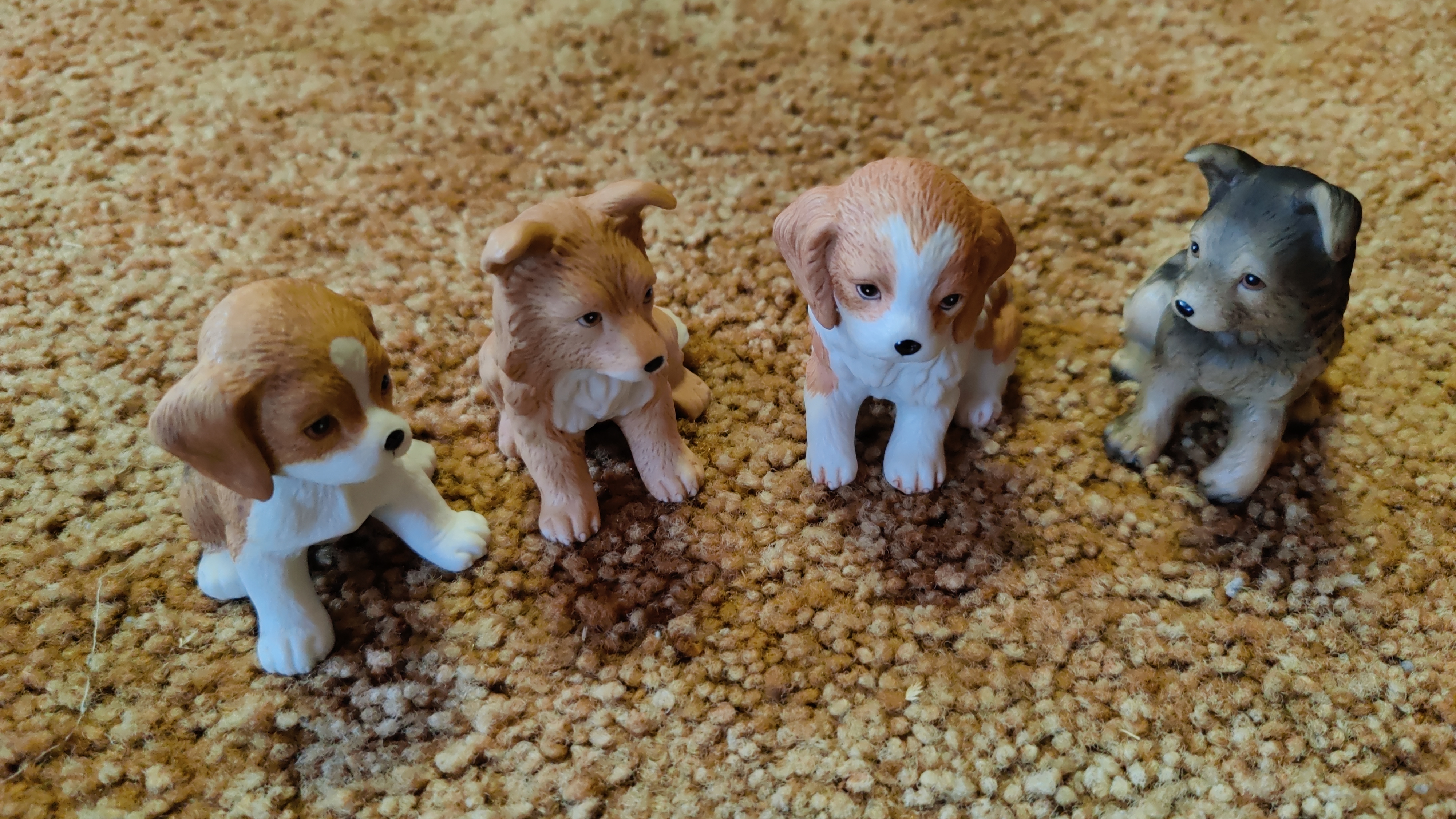 4 Little Dogs